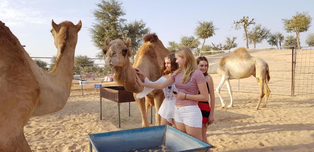 Legend Desert Camp Fulayj al Masha'ikh Exterior photo